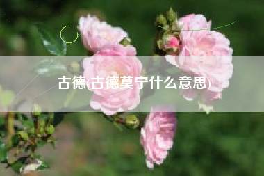 古德(古德莫宁什么意思)