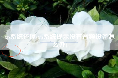 xp系统还原(xp系统提示没有音频设备怎么办)