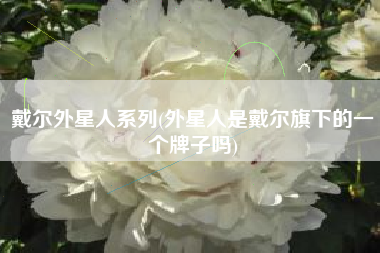 戴尔外星人系列(外星人是戴尔旗下的一个牌子吗)