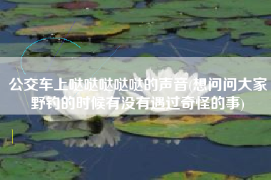 公交车上哒哒哒哒哒的声音(想问问大家野钓的时候有没有遇过奇怪的事)