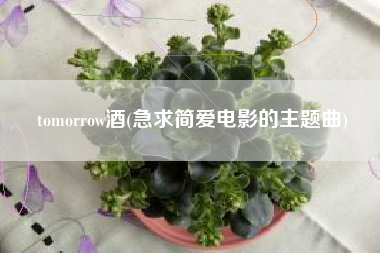 tomorrow酒(急求简爱电影的主题曲)
