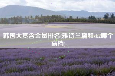 韩国大赏含金量排名(雅诗兰黛和sk2哪个高档)