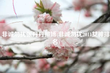 非诚勿扰张丹丹微博(非诚勿扰2011女神排名)