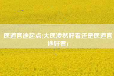 医道官途起点(大医凌然好看还是医道官途好看)