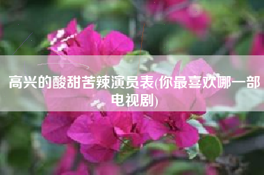 高兴的酸甜苦辣演员表(你最喜欢哪一部电视剧)