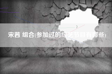 宋茜 组合(参加过的综艺节目有哪些)