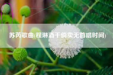 苏芮歌曲(程琳酒干倘卖无首唱时间)