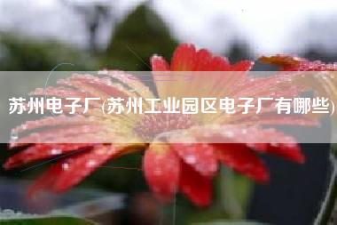 苏州电子厂(苏州工业园区电子厂有哪些)