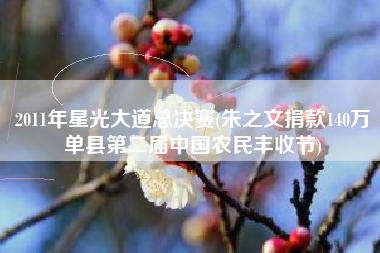 2011年星光大道总决赛(朱之文捐款140万单县第二届中国农民丰收节)