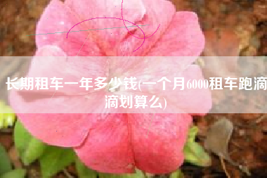长期租车一年多少钱(一个月6000租车跑滴滴划算么)