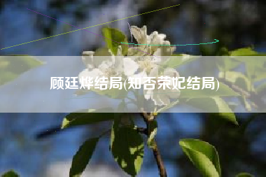 顾廷烨结局(知否荣妃结局)
