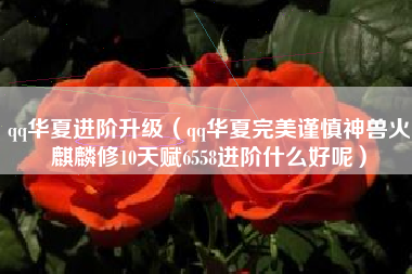 qq华夏进阶升级（qq华夏完美谨慎神兽火麒麟修10天赋6558进阶什么好呢）