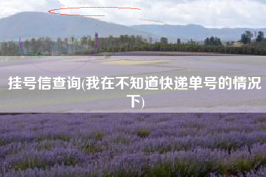 挂号信查询(我在不知道快递单号的情况下)