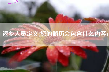 返乡人员定义(您的简历会包含什么内容)