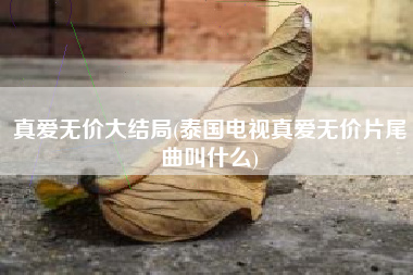真爱无价大结局(泰国电视真爱无价片尾曲叫什么)