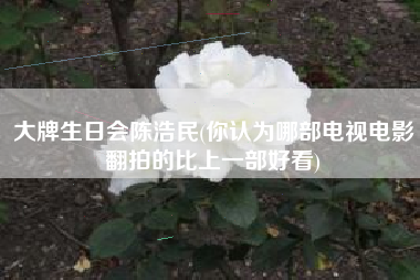 大牌生日会陈浩民(你认为哪部电视电影翻拍的比上一部好看)