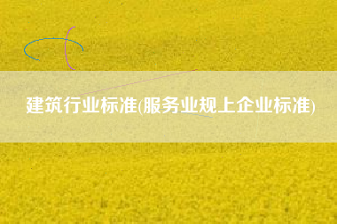 建筑行业标准(服务业规上企业标准)