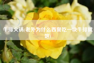 牛排火锅(老外为什么西餐吃一块牛排就饱)