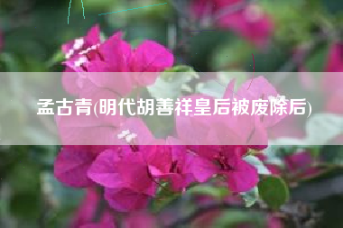 孟古青(明代胡善祥皇后被废除后)
