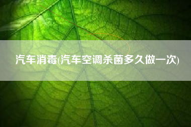 汽车消毒(汽车空调杀菌多久做一次)