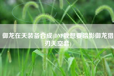 御龙在天装备合成(DNF我想要暗影御龙猎刃天空套)