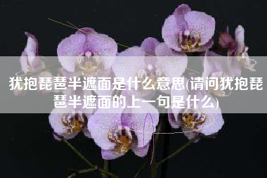 犹抱琵琶半遮面是什么意思(请问犹抱琵琶半遮面的上一句是什么)