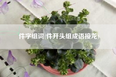 件字组词(件开头组成语接龙)