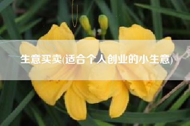 生意买卖(适合个人创业的小生意)