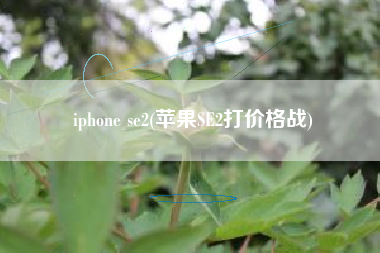 iphone se2(苹果SE2打价格战)