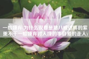 一脸嫌弃(为什么说要是猪八戒这样的紫熏不干一脸嫌弃讨人嫌的事自爰的走人)
