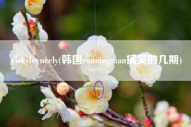 rickyleeneely(韩国runningman搞笑的几期)