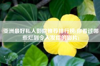 亚洲最好私人影院推荐排行榜(你看过哪些烂到令人发指的影片)