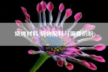 烧烤材料(烧烤配料与需要的粉)