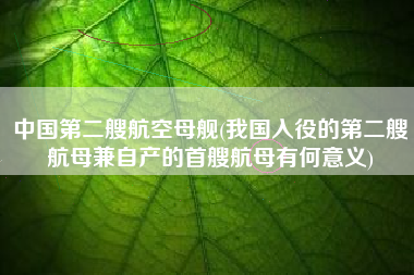中国第二艘航空母舰(我国入役的第二艘航母兼自产的首艘航母有何意义)
