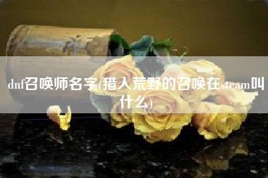 dnf召唤师名字(猎人荒野的召唤在steam叫什么)