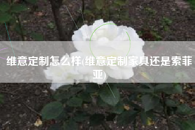 维意定制怎么样(维意定制家具还是索菲亚)
