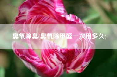 臭氧除臭(臭氧除甲醛一次用多久)