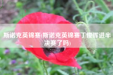 斯诺克英锦赛(斯诺克英锦赛丁俊晖进半决赛了吗)