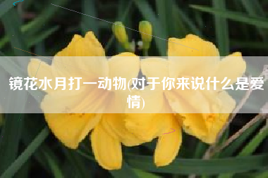镜花水月打一动物(对于你来说什么是爱情)