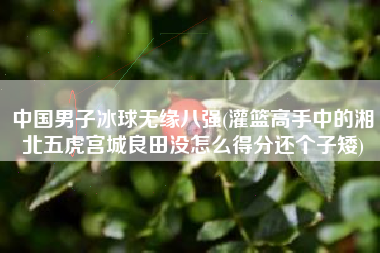 中国男子冰球无缘八强(灌篮高手中的湘北五虎宫城良田没怎么得分还个子矮)