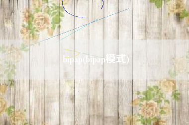 bipap(bipap模式)