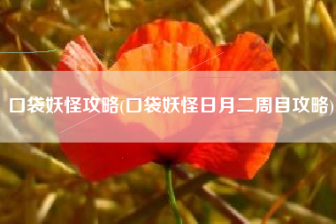 口袋妖怪攻略(口袋妖怪日月二周目攻略)