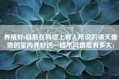 养殖虾(目前在网络上有人所说的铺天盖地的室内养虾这一技术可信度有多大)