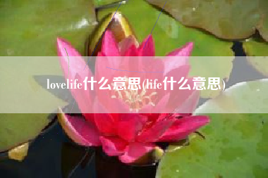 lovelife什么意思(life什么意思)