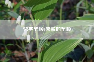 爸字笔顺(感激的笔顺)
