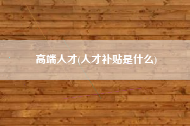高端人才(人才补贴是什么)