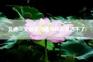 北通e1(北通激活器为什么激活不了)