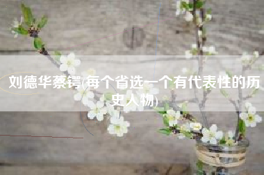 刘德华蔡锷(每个省选一个有代表性的历史人物)