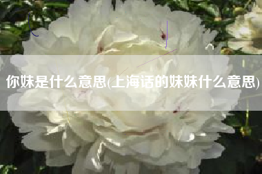 你妹是什么意思(上海话的妹妹什么意思)