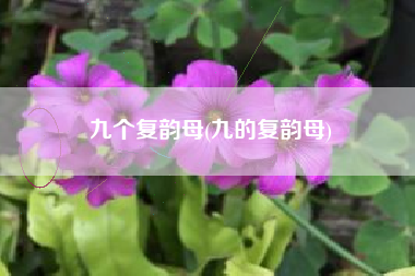 九个复韵母(九的复韵母)